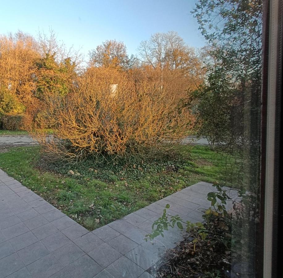 Domaine Minio Bihan Pluvigner Exteriör bild